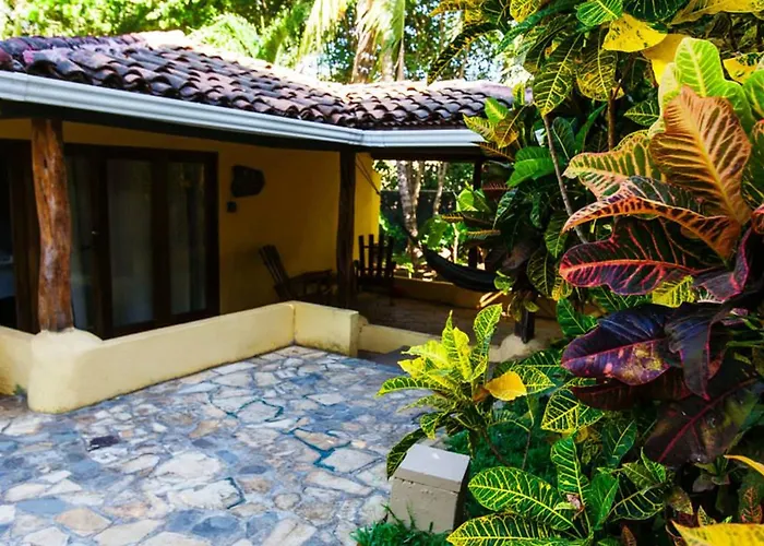 Pasatiempo Tamarindo