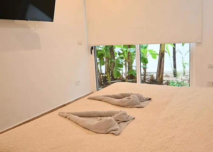 Pasatiempo Tamarindo